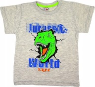 T-SHIRT BLUZKA KOSZULKA CHŁOPIĘCA DINOZAUR 104