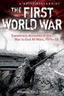 A Brief History of the First World War: