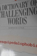 A Dictionary Of Challenging - Schur