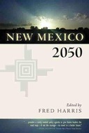 New Mexico 2050 group work