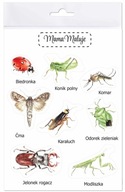 Nálepky veľké Hmyz 1, realistické maľované ilustrácie