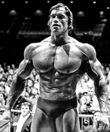 Plagát Arnold Schwarzenegger Kulturista 90x60 cm