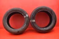 tyre tyres 2 pcs FIREMAX summer 205/55/16 20R