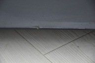 Cofano KIA CARENS III 1U
