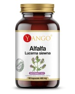 Alfalfa Lucerna siewna 60 kapsułek YANGO ekstrakt