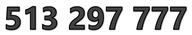 513 297 777 ORANGE STARTER ZŁOTY ŁATWY PROSTY NUMER KARTA SIM GSM PREPAID