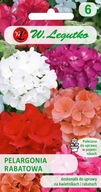 PELARGONIUM GAMA F1 mix 0,05g Legutko, perfektný balkón a záhrada