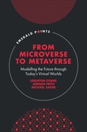 From Microverse to Metaverse: Modelling the