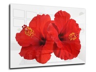 dekor szkło panel hartowany HD 90x60 kwiat