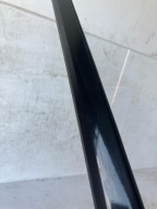 moulding dust door left front TESLA MODEL S PNBL
