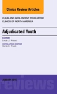 Adjudicated Youth, An Issue of Child and