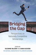Bridging the Gap: Perspectives on Nationally