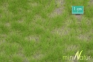 MiniNatur: Tuft - Długa wiosenna trawa 2 (15x4 cm)