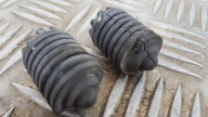 MERCEDES W203 tip bonnets DYSTANS