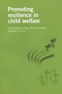 Promoting Resilience in Child Welfare group work
