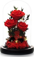 Večná Ruža v Sklenke Náhrdelník Darček Kvety Valentín Mamičky Ženy