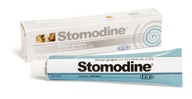 STOMODINE ICF GEULINCX 30 ML pasta pre psa a mačku