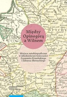 MIĘDZY OPINOGÓRĄ A WILNEM, ANDRUCZYK KRZYSZTOF