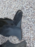 mudguard right front right front SEAT IBIZA IV 6J LIFT 6J0809958C