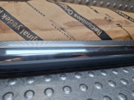 moulding dust door front left DODGE CHARGER 07- 04806061AE
