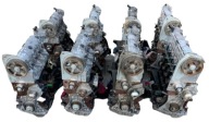 engine 1.9 dci 80 100 KM Renault Trafic Wzmacniane