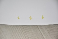 bonnet RENAULT CLIO III 3