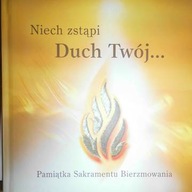 Niech zstąpi duch twój - Praca zbiorowa