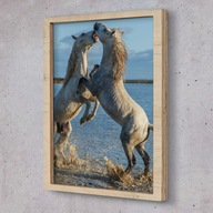 Obraz w ramie na ścianę Konie woda zabawa 20x30