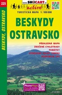 CT100 223 Beskydy, Ostravsko Kolektivní práce