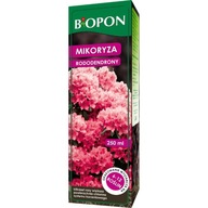 Mikoryza do rododendronów wrzosów borówek Biopon zdrowe i odporne rośliny