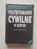 Postępowanie cywilne w zarysie Witold Broniewicz