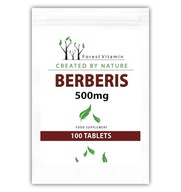 Forest Vitamin Dráč 500mg extrakt BERBERYNA 100tabl