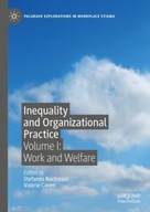 Inequality and Organizational Practice: Volume I: