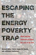 Escaping the Energy Poverty Trap: When and