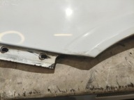 fender left FS LUBLIN PASAGON BIALY