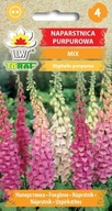 Náprstník Purpurová zmes - Semená 0,5g, Farebná ozdoba záhrady