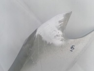 BMW 6 G32 GT 17- fender left front front