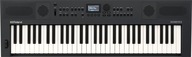 ROLAND GO:KEYS 5 GT Graphite - keyboard-syntezator