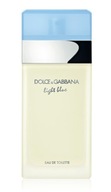 Dolce Gabbana Light Blue Women 100 ml EDT