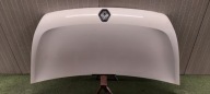 Capot RENAULT MASTER III 10-15 LAK: OV389 389