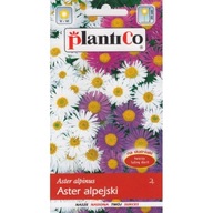 Aster alpínsky 0.3g