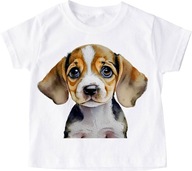 T-shirt koszulka dziecięca z psem beaglem roz 140