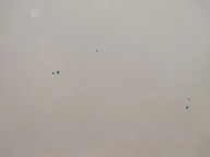 door right front OPEL MOKKA A LAK: GAZ (12-16)