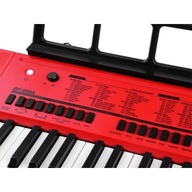 Veľký Keyboard Organy 61 klávesov + mikrofón IN0140