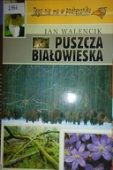 Puszcza Białowieska - Jan Walencik