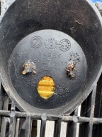 original Alfa Romeo GTV grill front 60577411