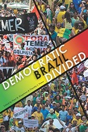 Democratic Brazil Divided group work
