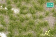 MiniNatur: Tuft - Długa wczesnojesienn trawa 12 mm (15x4 cm)