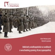 Oddziały Wielkopolskie w walkach o wschodnią granicę RP Pleskaczyński