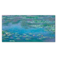 Obraz na plátne do obývačky Voda ľalie Monet 100x50